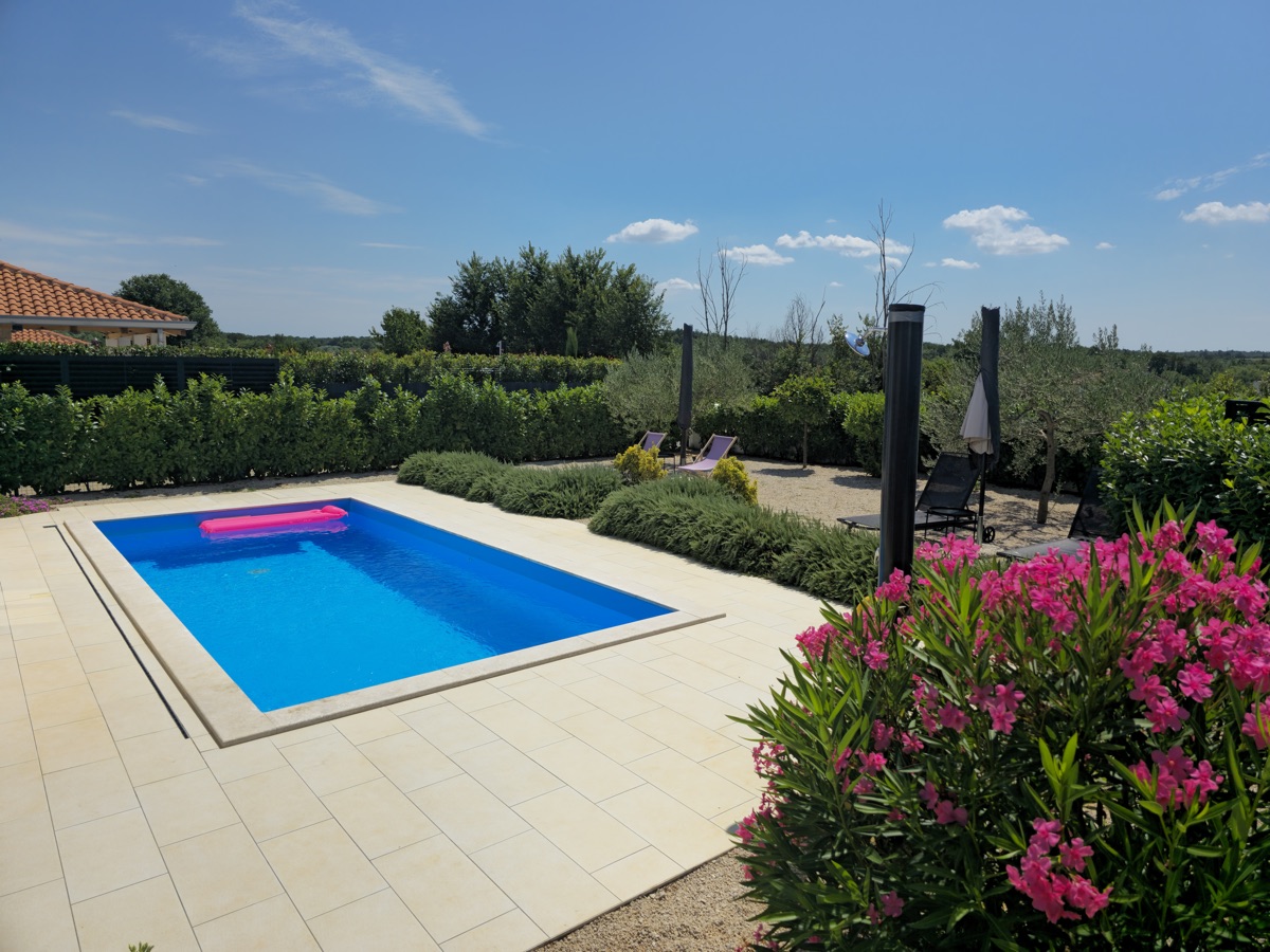 Lush garden in summer