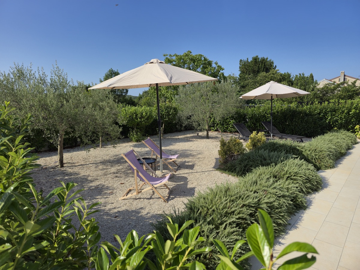 Garden and pool — summer view