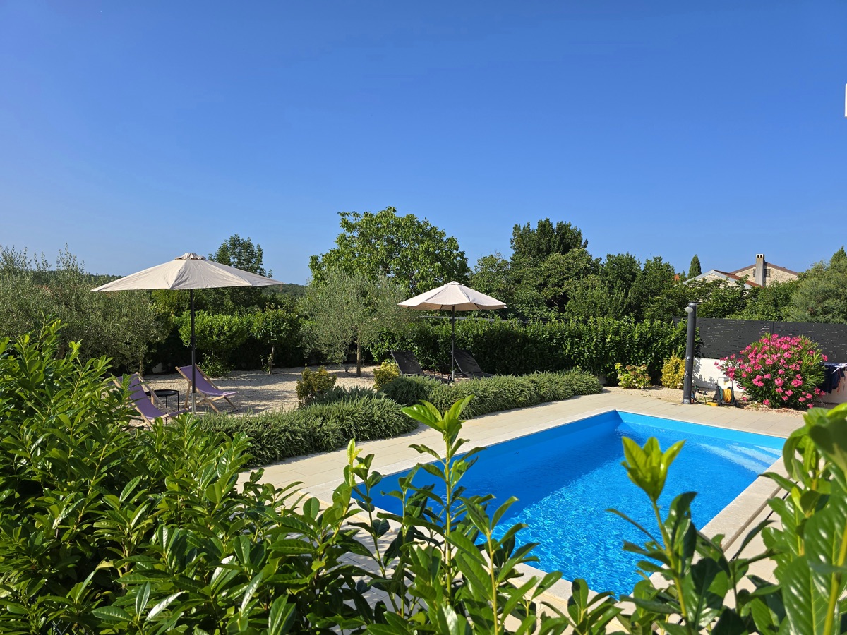 Pool surrounded by lush summer garden